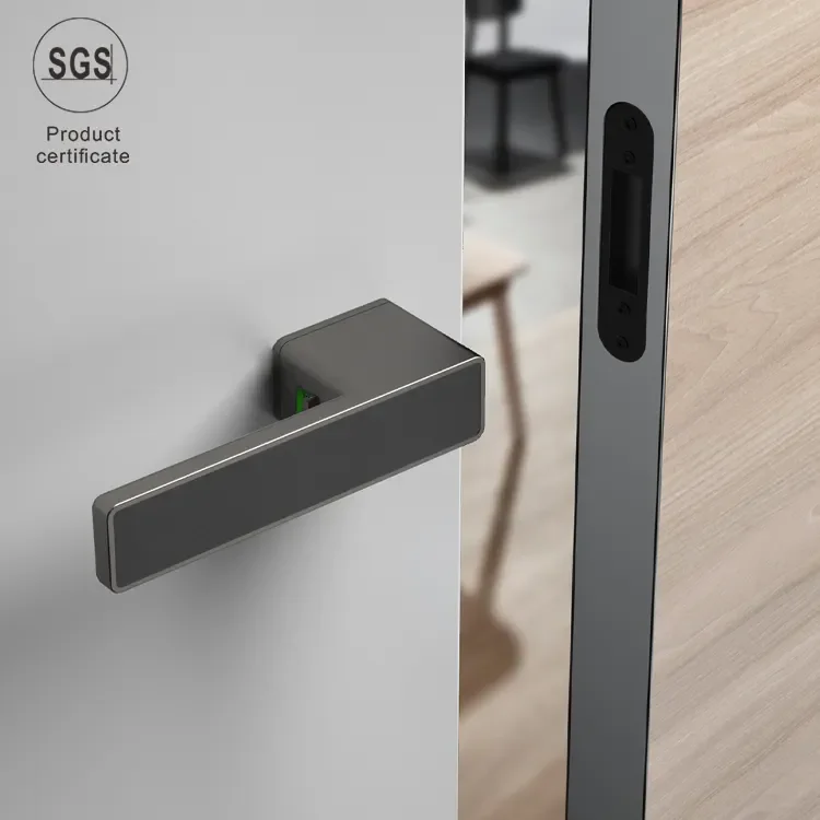 Durable Zinc Alloy Indoor Door Handles Home Decoration Interior Zinc Ecological Door Handle Lock