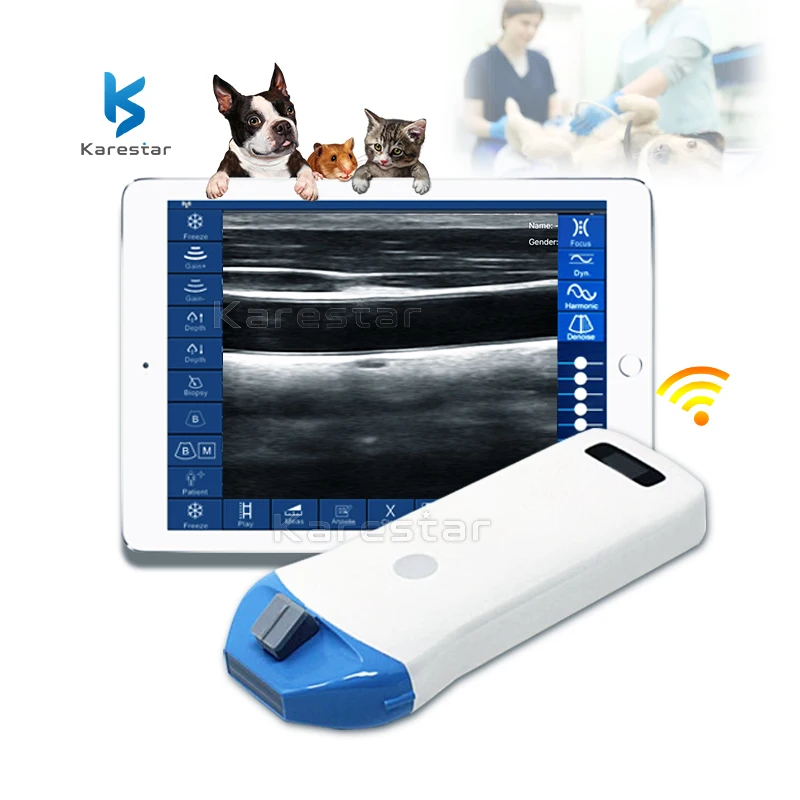 Medical Equipment 10/14MHz Wifi vet linear probe scanner wireless probe ultrasound