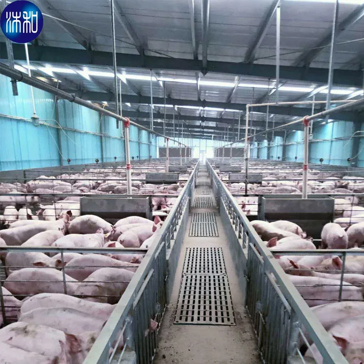 Customized Pig Gestation Stainless Steel Farrowing Crates Pig Weaning Stall