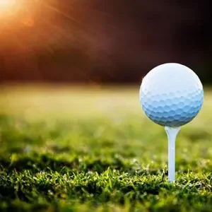 Custom Logo Personalized Printed Bulk Driving Range 2 Layer Practice Training Golfball Balles Pelotas Bola Ball de Golf Balls