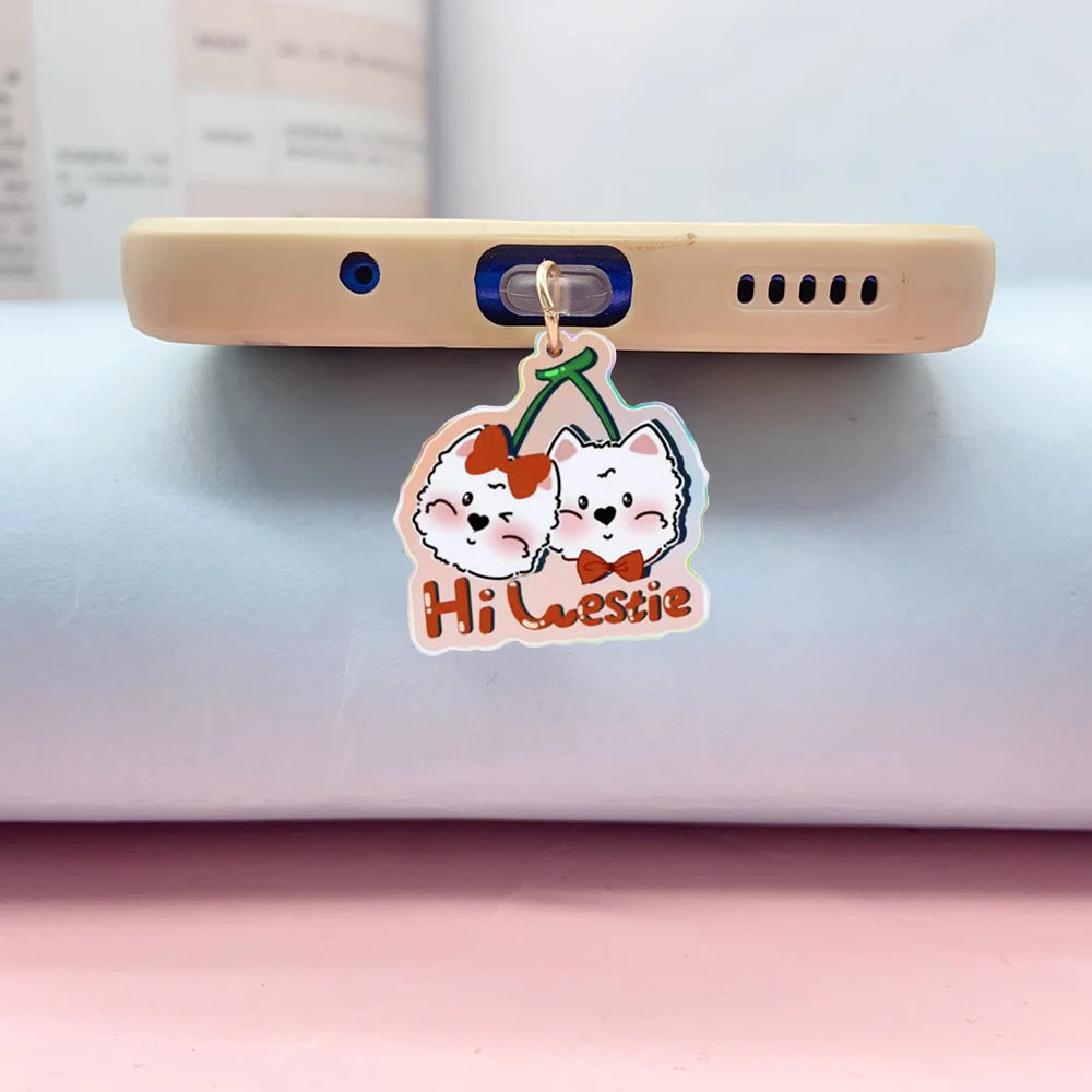 USB Port Cover Anti Dust Plugs Acrylic Charm Stopper Protector Dustproof Cap Type-C Port Dust Plugs USB Charging Protector Plugs