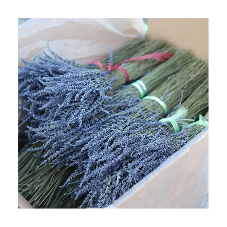 
Wholesale Customized Good Quality Dried Flower Bride Bouquet Of Flowers 