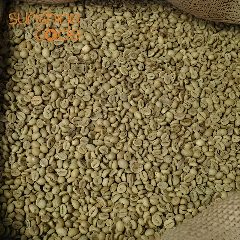 Sunshine Code Vietnam Robusta Screen 18 Coffee Beans Green Price Per Kg Grade 1/2 Specialty Coffee
