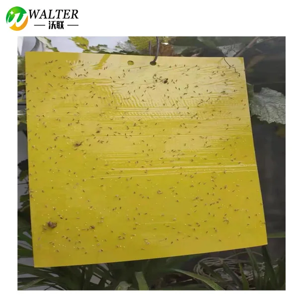Non toxic plastic yellow sticky traps for insects pest control in agriculture
