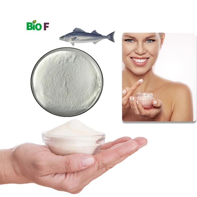 
bulk raw material marine collagen protein anti-wrinkle oem collagen peptide fish 
