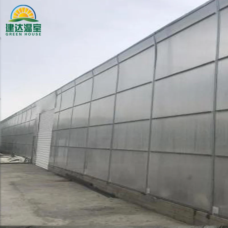 The best quality roof Film and side polycarbonate Greenhouses for tomato growing SUNSGH greenhouse made in china