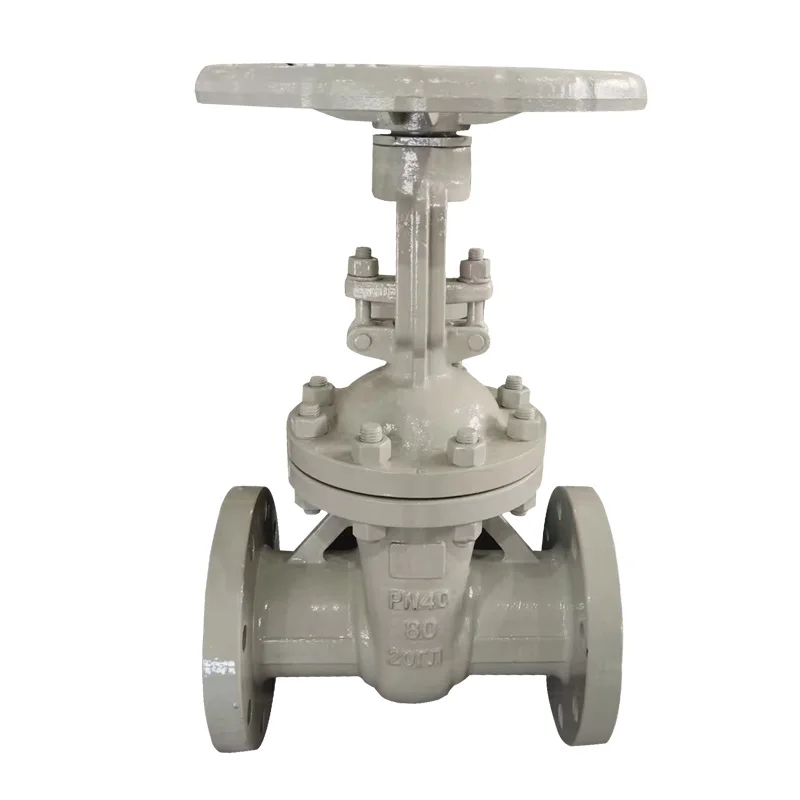 Carbon Steel Flanged Gate Valve API 600 cast iron ASTM A216 wcb body material api 6a dn80 end flange 150LBS gate valve