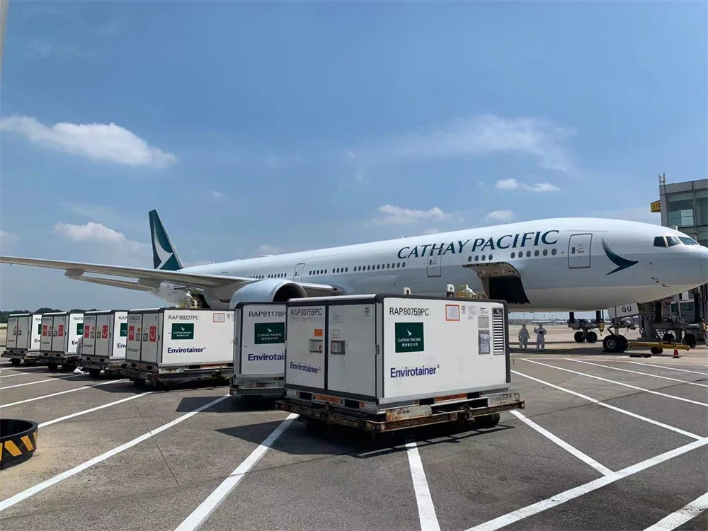 International logistics DHL FEDEX express shipping Air shipment door to door Freight forwarder China to USA/EU/CA/AU