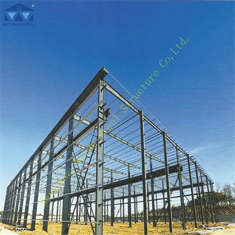 
Light Steel structure project 