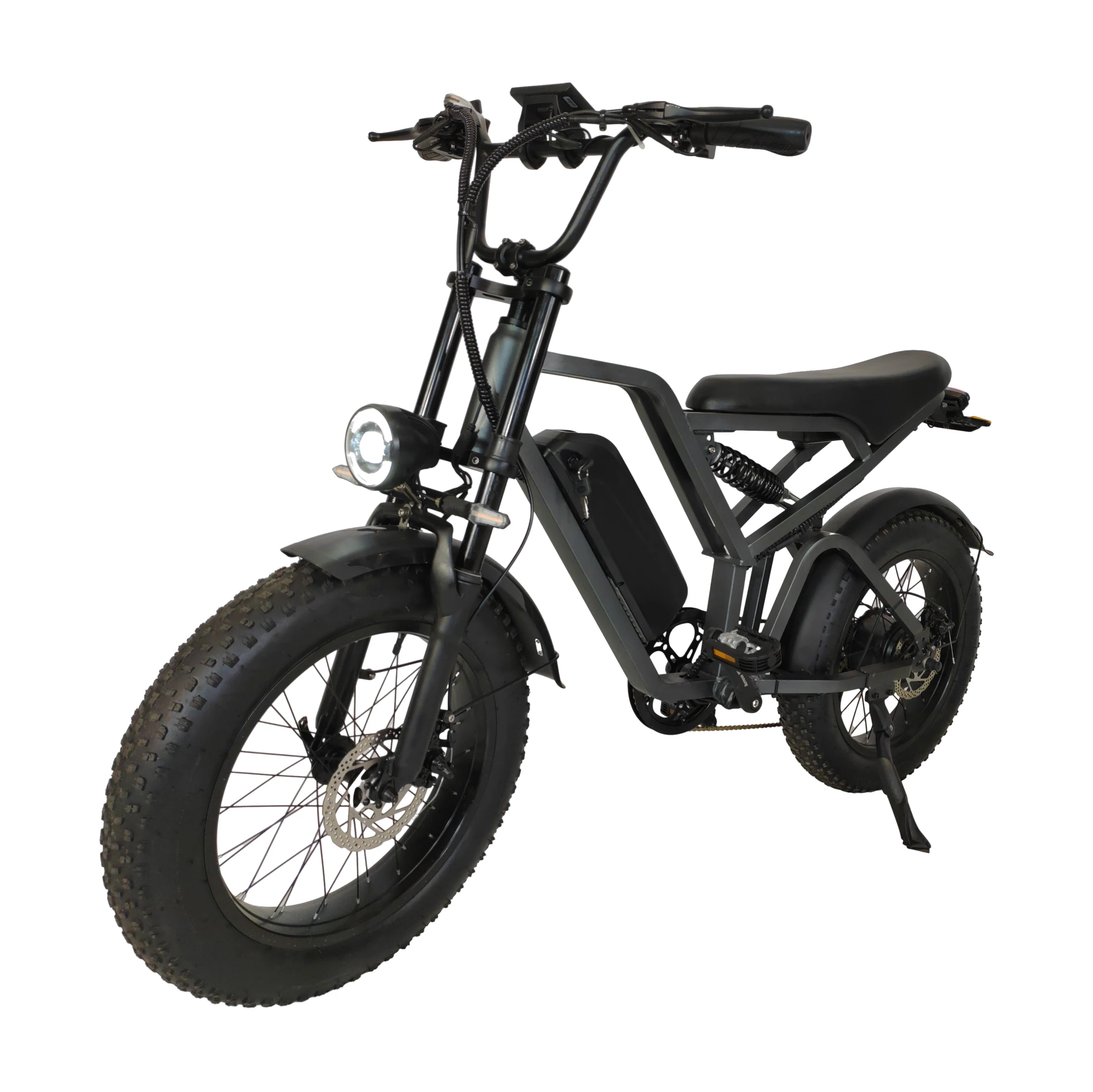 EU/US E-bike горный велосипед с двойной подвеской 750 Вт 2000 двухмоторный Ретро диск толстыми шинами Электрический