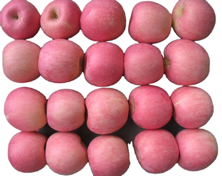 
Fresh Delicious Red Fuji Apple 