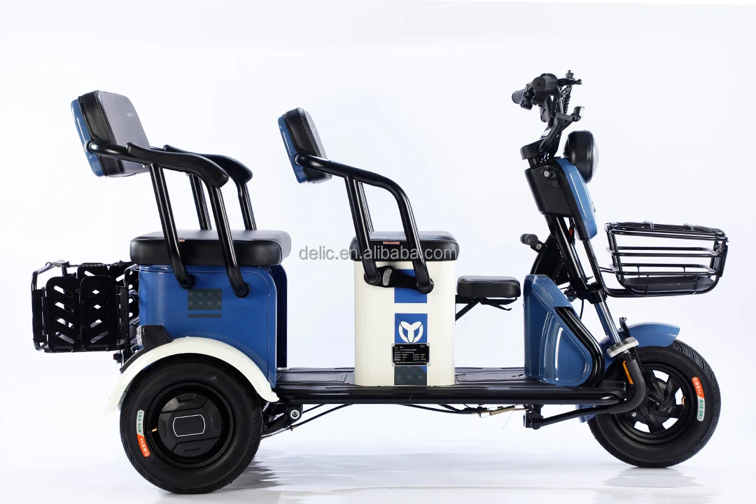 Electric Three Wheel Adult Cargo Bike  Electric Tricycle Bicycle with customized large Power Suspension Fork Factory Hot Sale