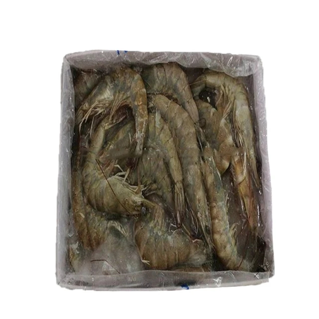 Best Selling Fresh And IQF Frozen White Shrimp From Malaysia