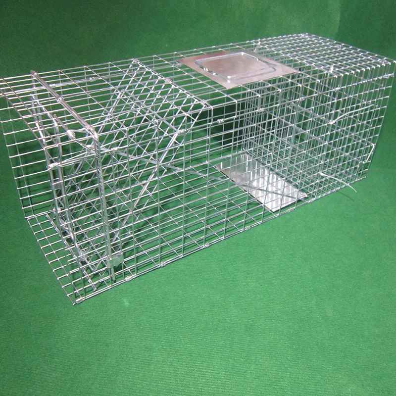 Pest Control Large Wild Animal Coyote Raccoon Live Trap