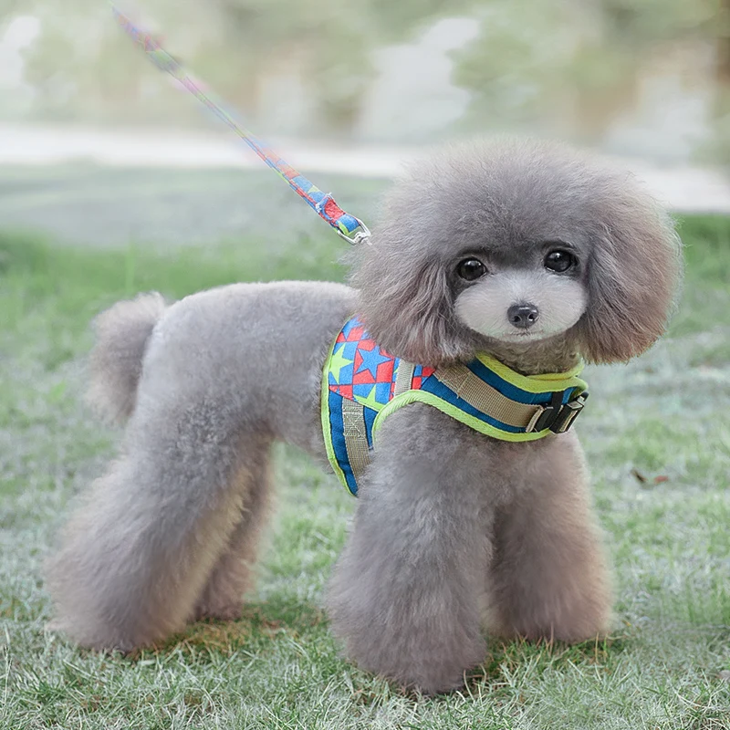 Dogs Clothes Luxury Collar Dog Harness Vest Cloth Pets Leash Outdoor