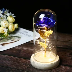 Искусственные подарки на день Святого Валентина, 24 К, Золотая Роза, сделано в Китае, подарок на день Святого Валентина, декоративные цветы, роза, светодиодная лампа