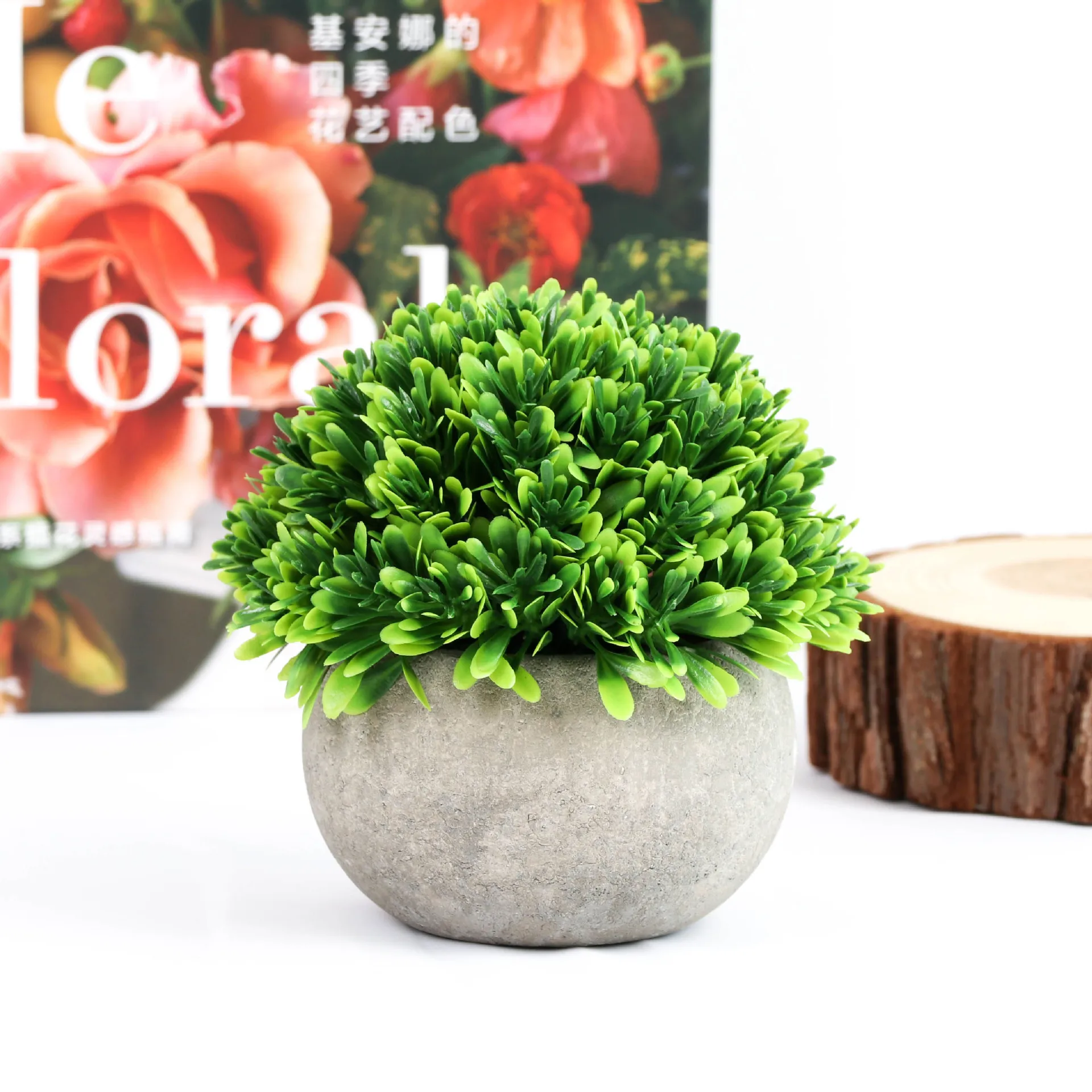 Tortoise Shell in Cement Pot Decorative Potted Plant on Table Top Artificial Plants Pot Silk Artificial Flowers Moon Flower 100