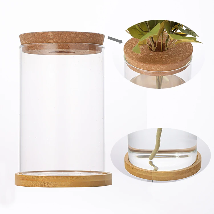 Custom 500ml Glass Terrarium Vase Propagation Vase Containers with Cork Wooden Saucer for Hydroponic Plants Tabletop Decoration
