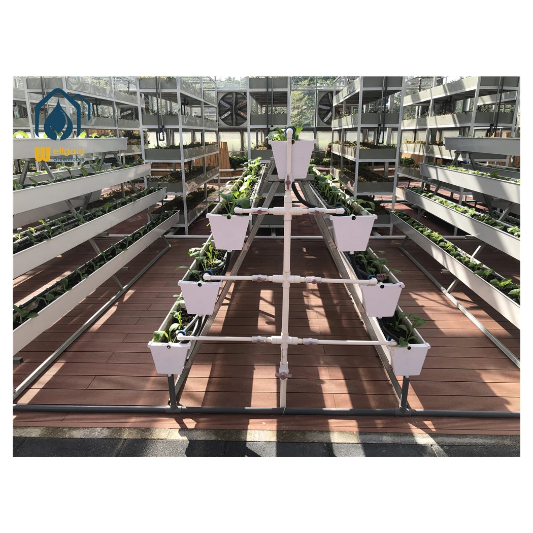 glass greenhouse hydroponics growing system hydroponic tower vertical