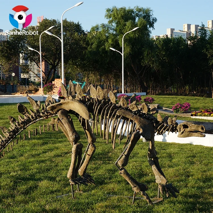 Life size Museum skeleton dinosaur for sale