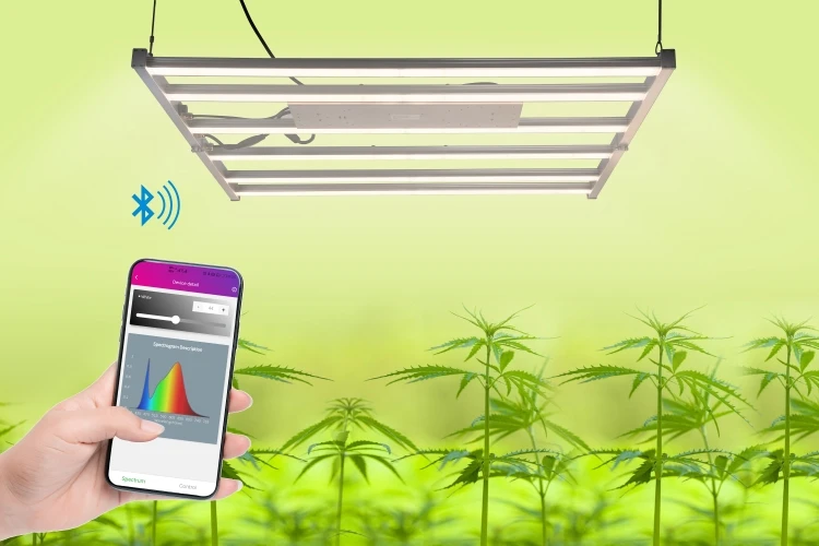 unique phone controlled 1000w full spectrum  led grow light 750nm cob 3030FCC ROHS Factory Wholesale best price