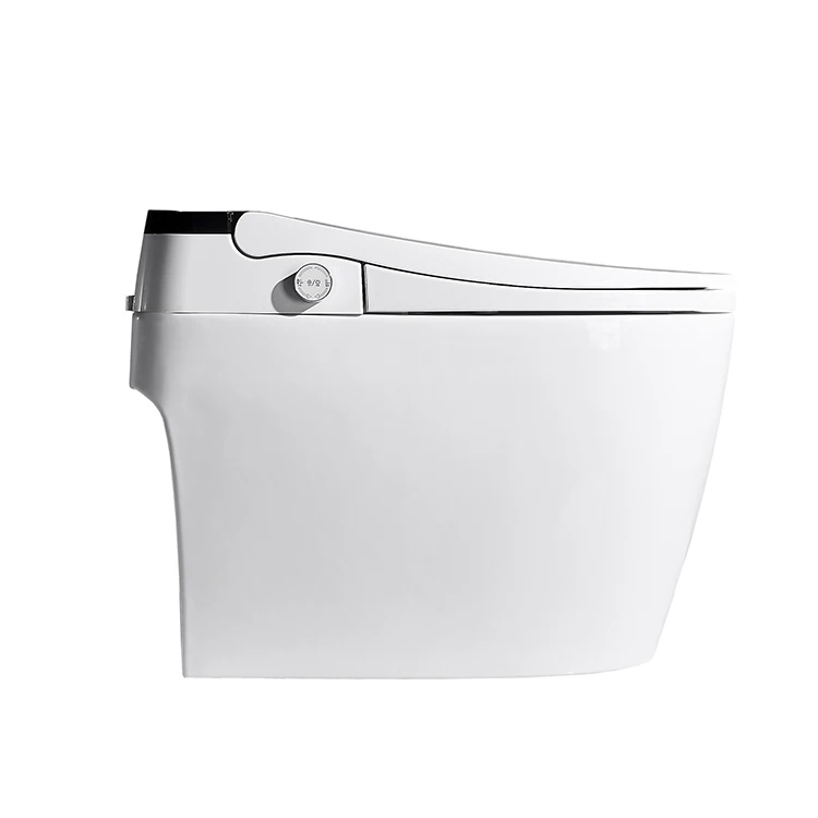SALA Guaranteed Quality Modern Eco Intelligente Smart Good Price Western Design Washdown Toilet