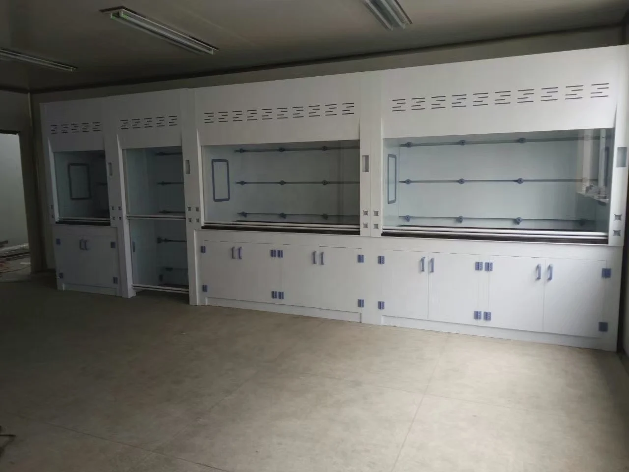Laboratory furniture LAB scientific customized fume hood