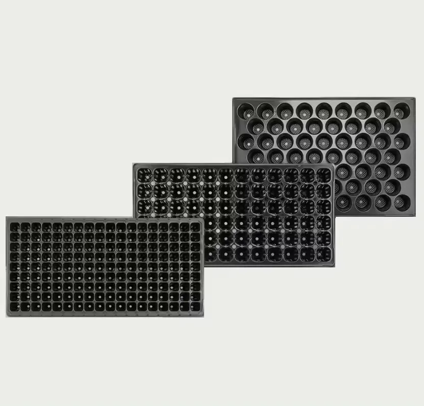 Chinese factory seedling tray 200 cell vegetable seeding for agricultural