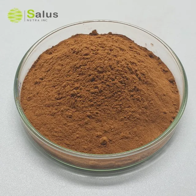 Top Quality Instant Black Tea Extract Powder