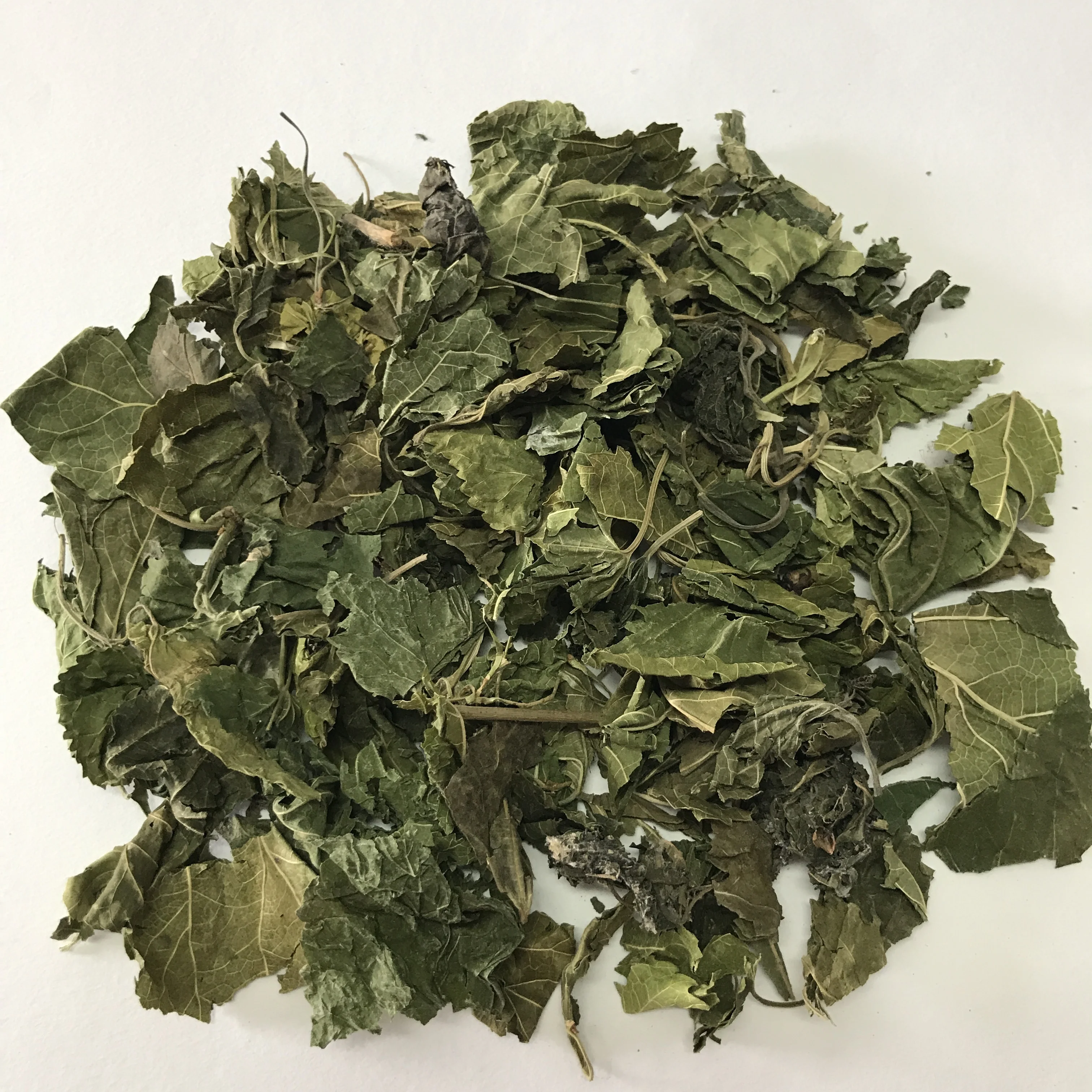 5001 Sang ye оптовая продажа высокое качество сушеные тутового листа для чая