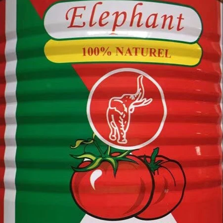 Easy open canned tomato paste with competitive price