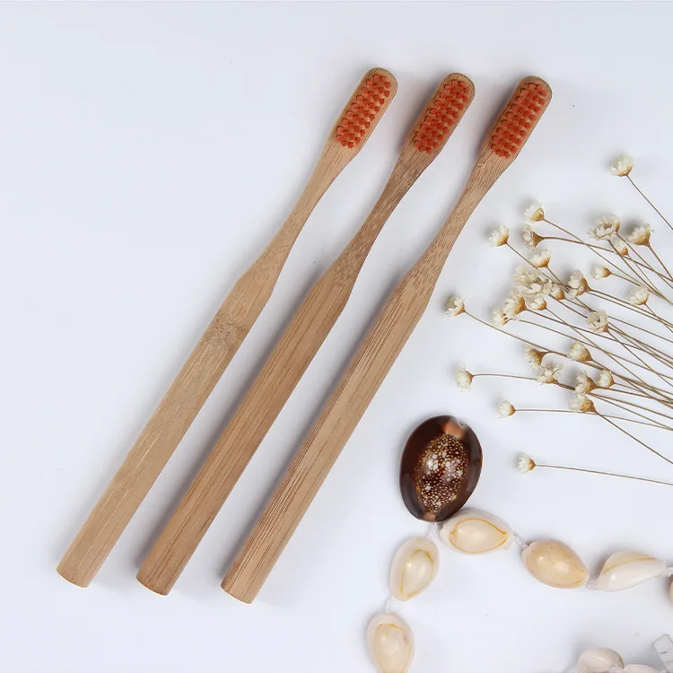Biodegradable Private Label Natural Toothbrush Bamboo Wooden Handle Tooth Brush and Case