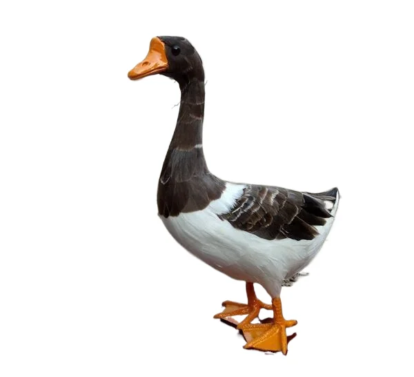 Grey Goose Static Model Simulated Stuffed Animals for Home Garden Yard Christmas Holiday Decoration or Teaching Props