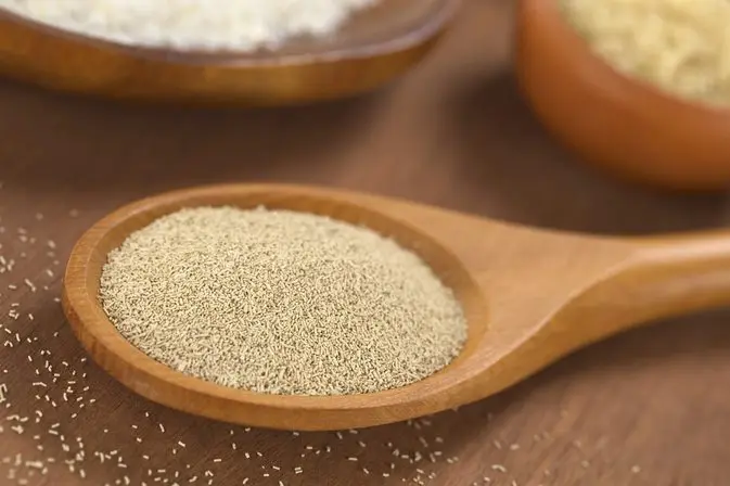 High active instant dry baking yeast powder 500g 450g 125g 100g 5g 10g 11g 5kg 10kg 25kg for bread dough fast fermenting yeast