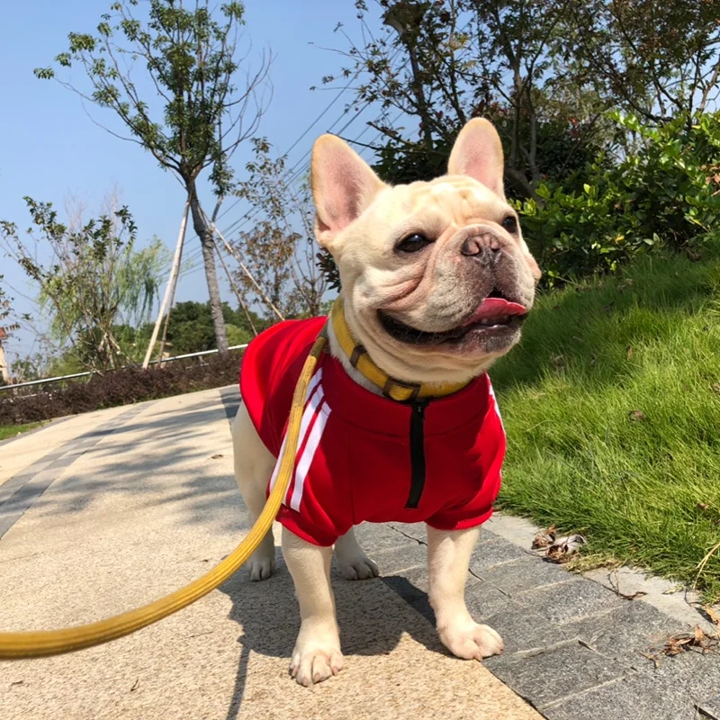 Pet Accessories New Sport Dog Coats Pet Clothing Small Dog Clothes Pet Factory OEM Wholesale Leisure Fashion Print 1pc/opp Bag