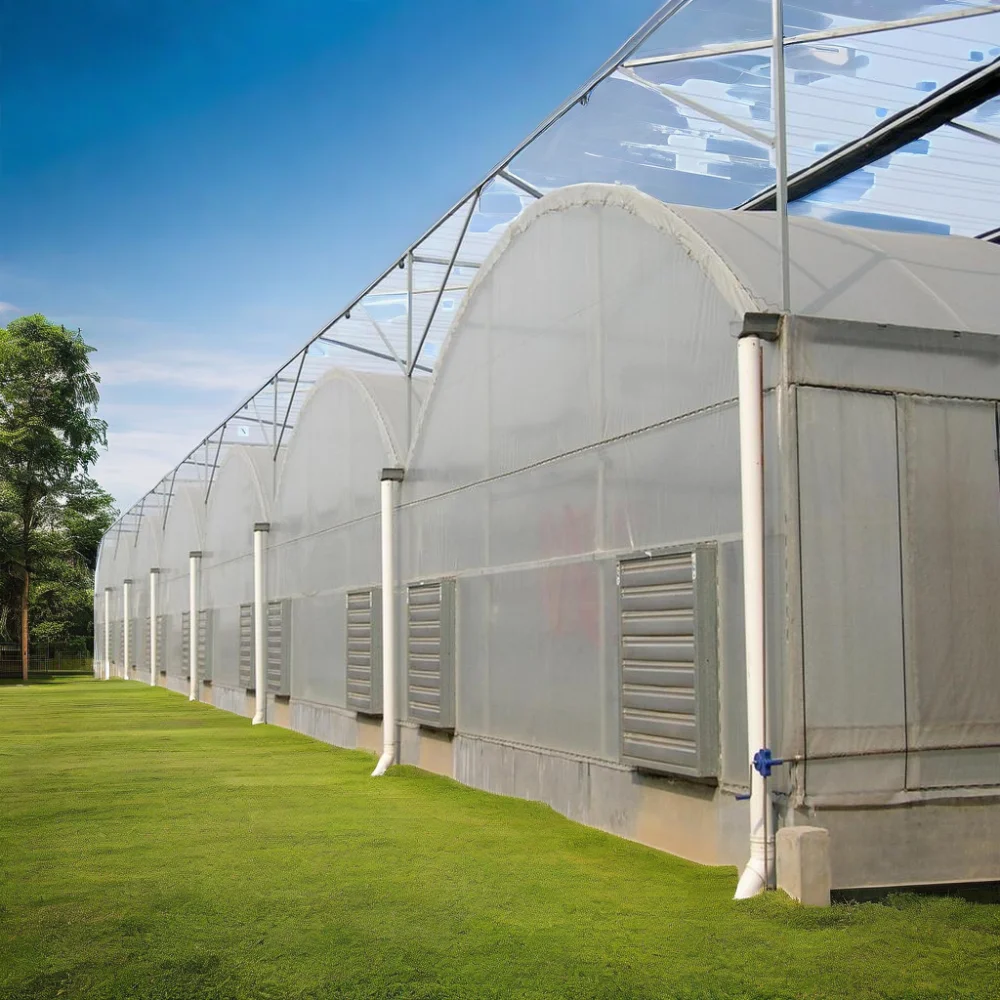 Tropical Plastic Film Multi Span Greenhouse With Galvanized Steel Frame