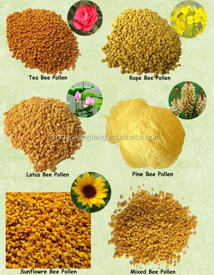 Wholesale Food Grade 100% Pure Organic Bulk Bee Pollen Pure Natural Honey Bee Pollen