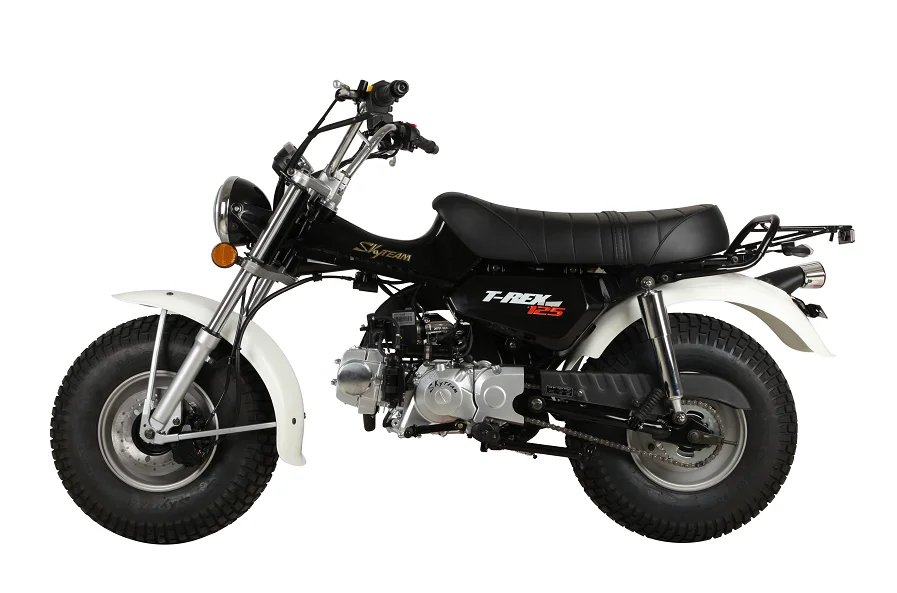 SKYTEAM 125cc E4 4 stroke T-REX RV90 vanvan beach motorcycle dirt bike (EEC EURO3 EURO4 approval)