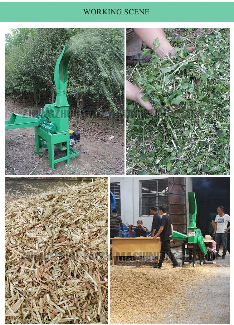 Agricultural Use chaff cutter in kenya animal feed gasoline engine chaff silage chopper
