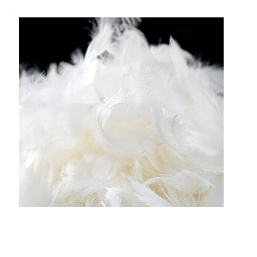 Custom Wholesale Natural White Duck Feather Filling Materials 2-4 Cm