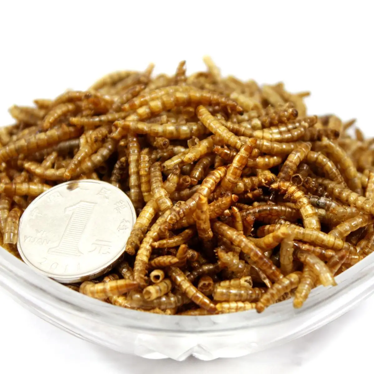 natural material popular pet food dried mealworms protein powder