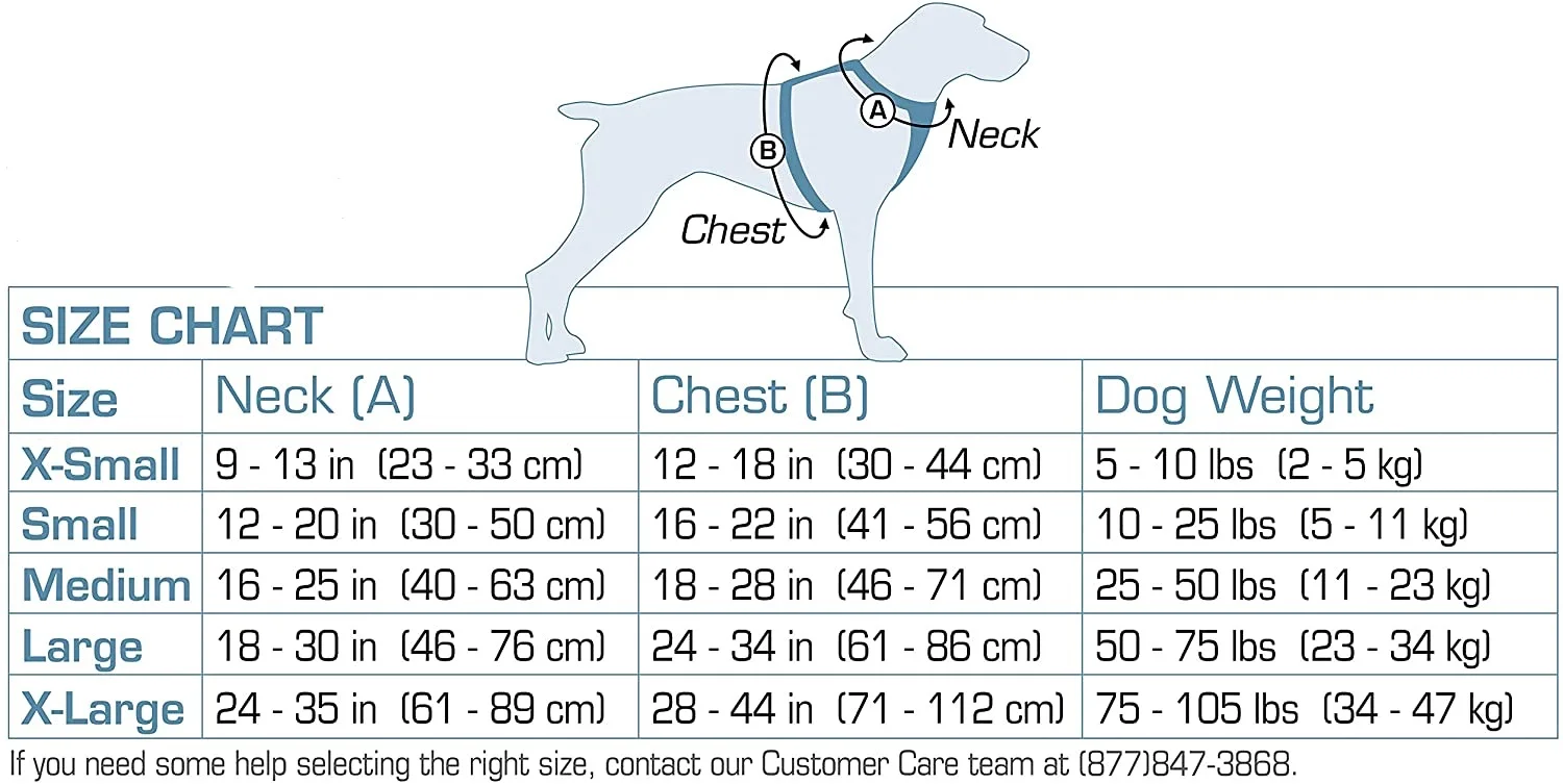 Run wing Tru-Fit Crash Tested Dog Harness, Enhanced Strength Dog Vest, Dog Safety Harness with Pet Seat Belt Tetherfor Car