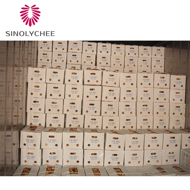 Chinese Frozen Ginger Dried Ginger Fresh Ginger Wholesale Price
