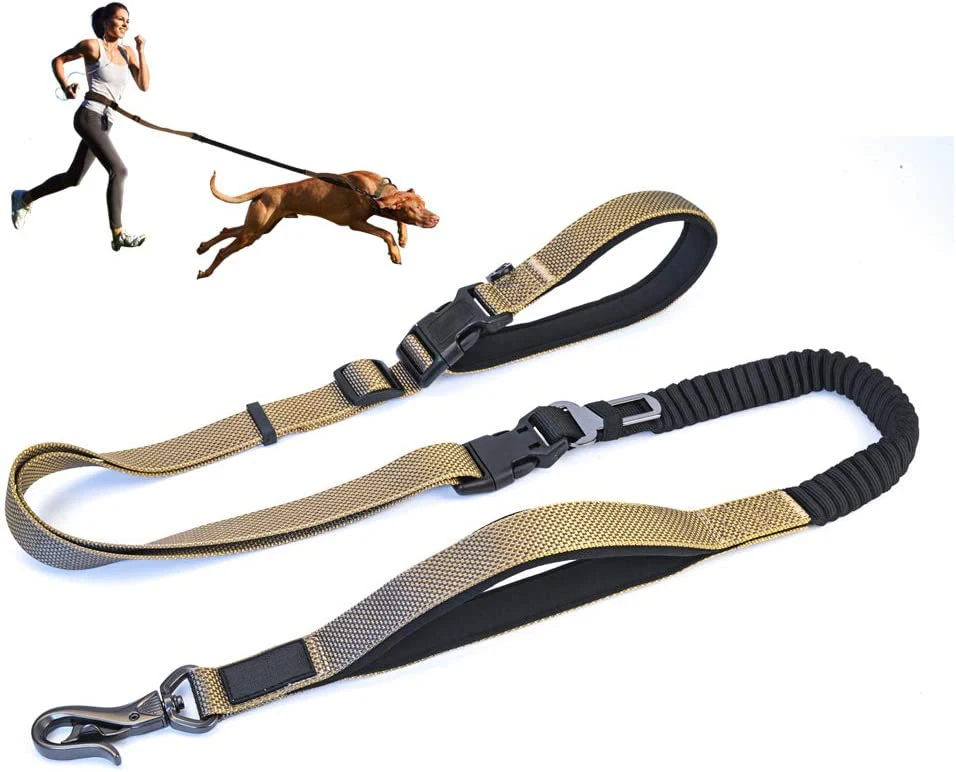 Pets new inventions retractable Adjustable two handle reflective Traction webbing biothane dog Leashes