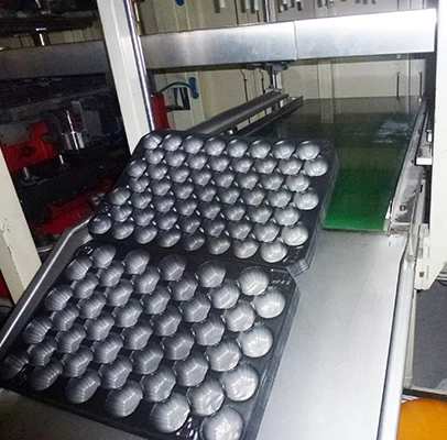 Versatile and Convenient Solution for Fruit Packaging plastic fruit packing tray