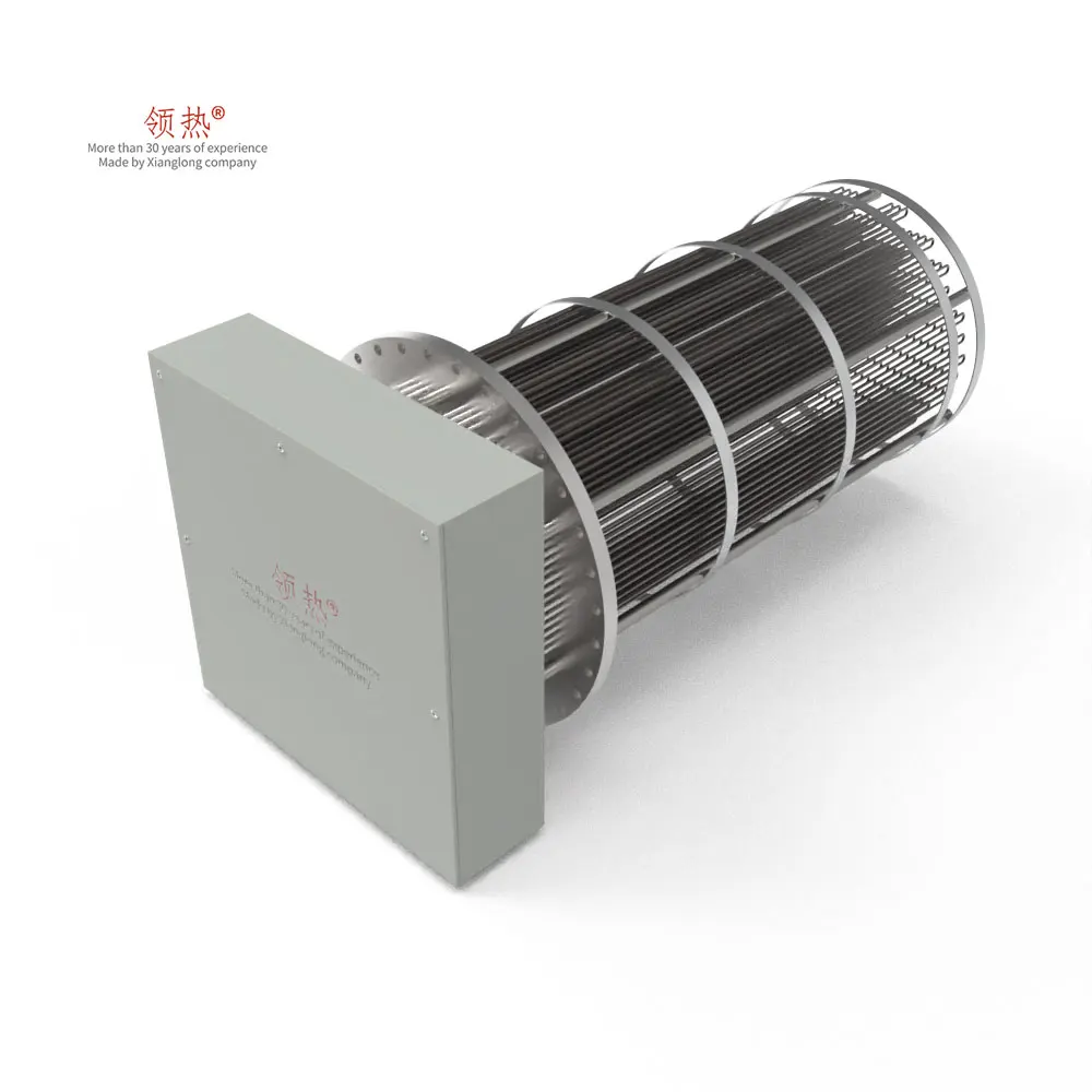 Custom SS316L 110 Volts 300w 60hz Battery Powered Electric Water Immersion Heater