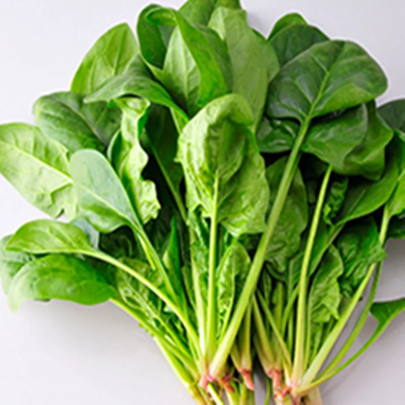 Manufacturers hot selling natural spinach fruit powder spinach  fruit juice powder
