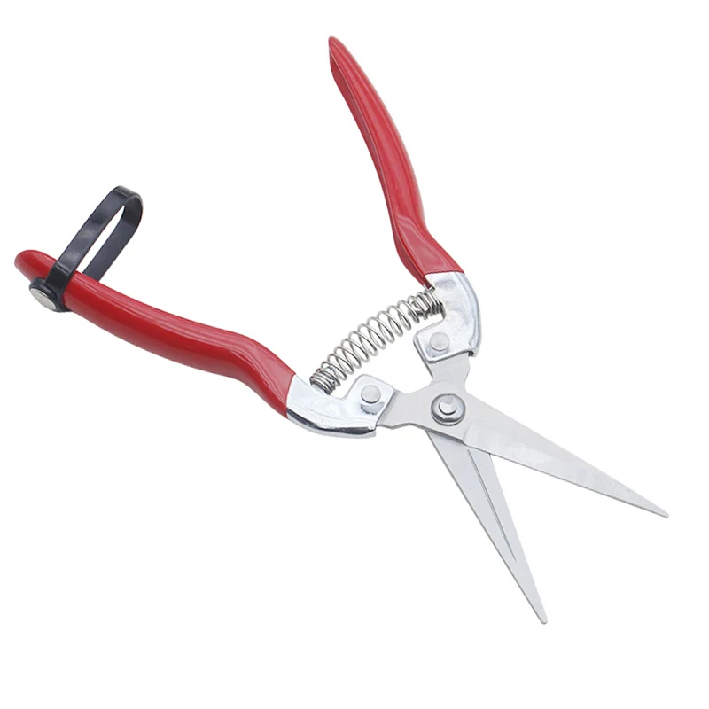 Stainless Steel Garden Pruning Scissors Snip Trimming Tool for Plant Flower Grape Care Pruner for Gardening