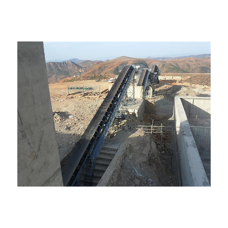 Easy Maintenance Large Conveying Capacity Pvc Conveyor Belt System