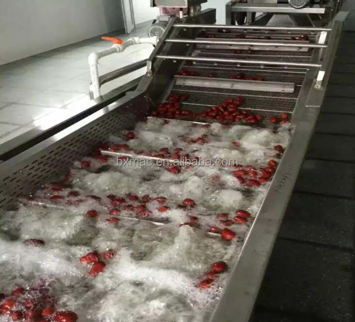 Commercial leafy vegetable washing machine potato cleaning equipment